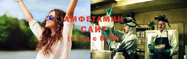 ECSTASY Алзамай