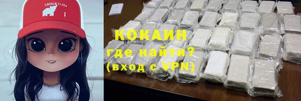 ECSTASY Алзамай