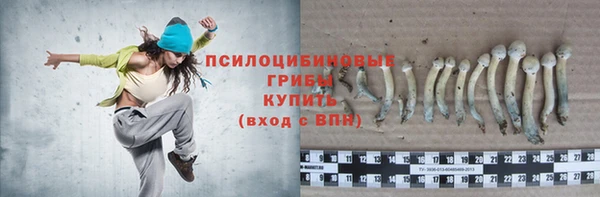 ECSTASY Алзамай