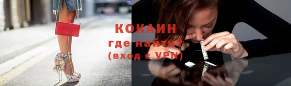 ECSTASY Алзамай