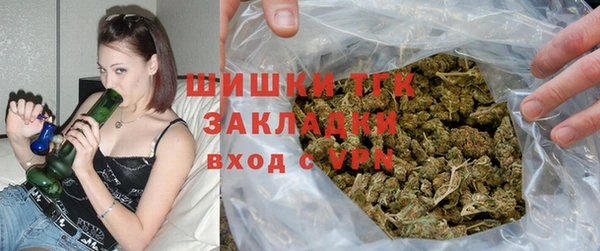 шишки Алексин
