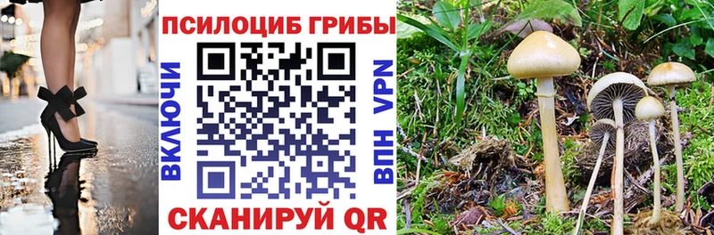 Псилоцибиновые грибы мицелий  Краснокамск 
